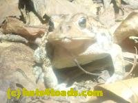 /home//u458753944/public_html/sourcegallery////McKaig Nature Center/2024-09-23/P9231576.JPG